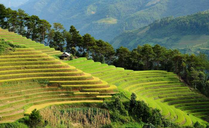 Vietnam: Rady a tipy na cestu 1300w